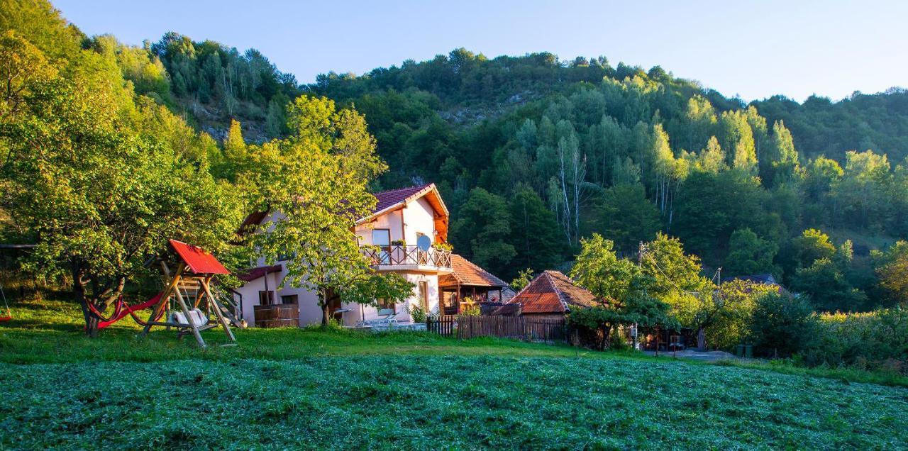 La Cascada Sipot Villa Merisor Bagian luar foto